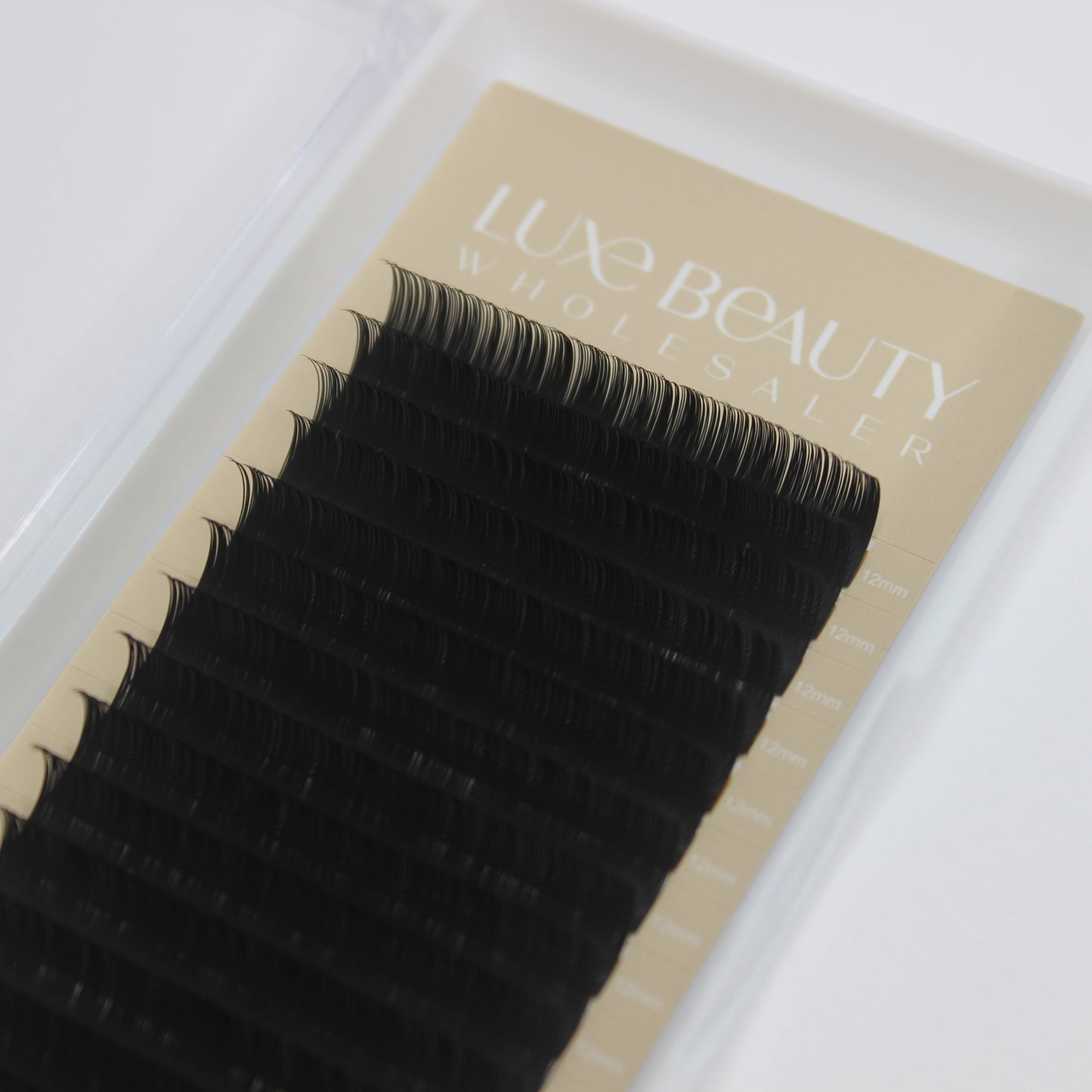 Classic Individual Lash